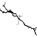 Black line illustration of a crack or fracture pattern, representing pipe breaks or damage found during camera inspection.