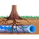 Illustration of mature tree roots growing around and infiltrating a blue underground pipe.