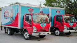 Two red and blue branded box trucks with “Tennessee Standard” logos, experts in Backflow Testing in Knoxville, are parked next to each other in a lot near trees.