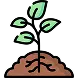 A small green plant with five leaves is growing from a mound of brown soil, with visible roots beneath the surface.