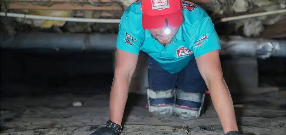 A person wearing knee pads, gloves, and a headlamp crawls through a dimly lit crawl space with exposed insulation and pipes, conducting a thorough plumbing inspection.