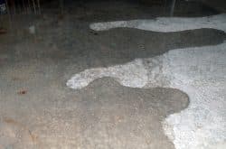 Wet concrete floor with large puddles reflecting light. The irregular water shapes create a textured surface, conveying a sense of dampness.