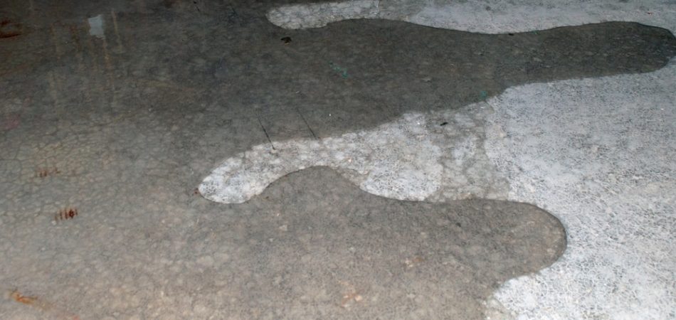 Wet concrete floor with large puddles reflecting light. The irregular water shapes create a textured surface, conveying a sense of dampness.